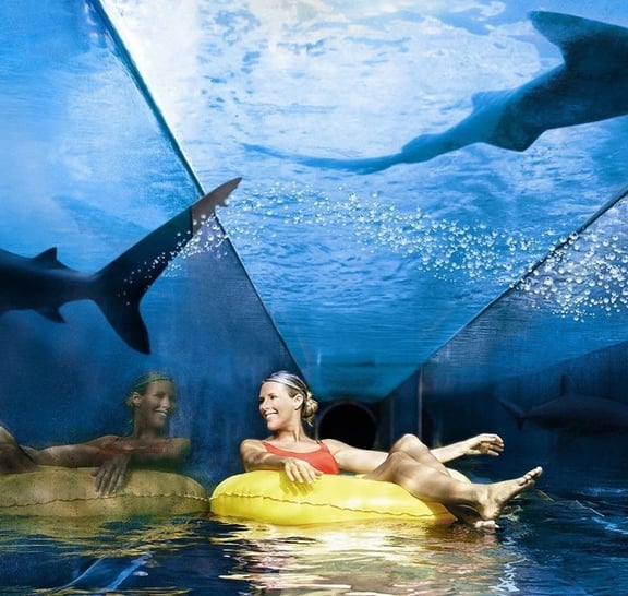 Dubai Atlantis Aquaventure Water Theme Park Entrance Tickets