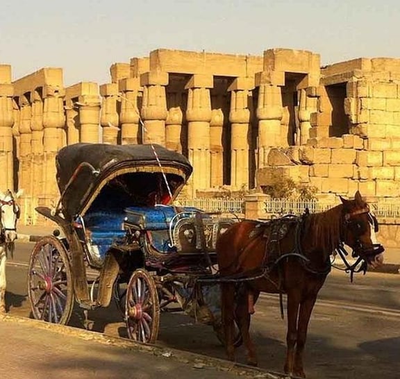 Private Full Day Trip to Luxor from Aswan By Car