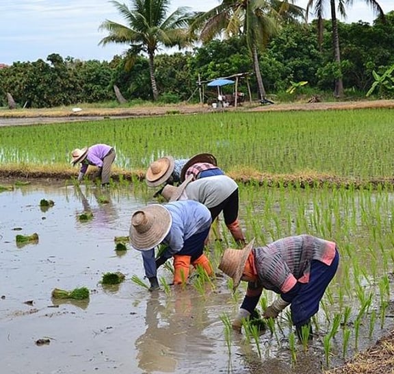 Chiangrai Round Trip Classic Tours 3 Days 2 Nights