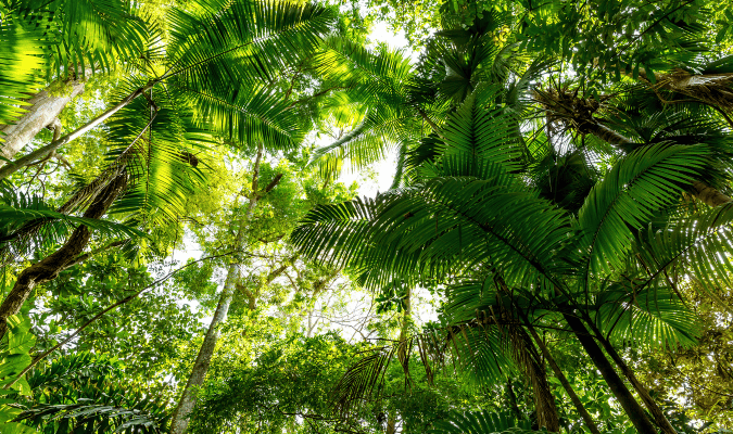 Trabzon Nature & Wildlife – Immerse Yourself in the Beauty of the Black Sea1