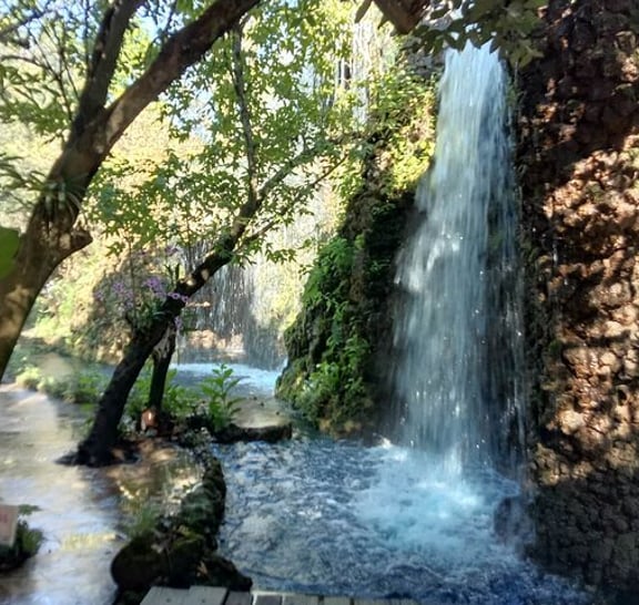 Combo Tour in Elephant Sanctuary, Sticky Waterfall, Angle Land