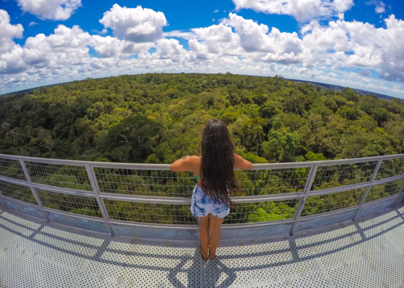 MUSA – Amazonian Museum - 2