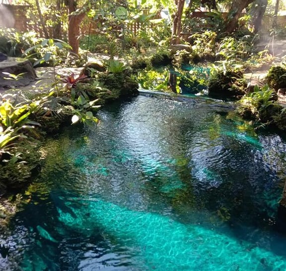 Combo Tour in Elephant Sanctuary, Sticky Waterfall, Angle Land
