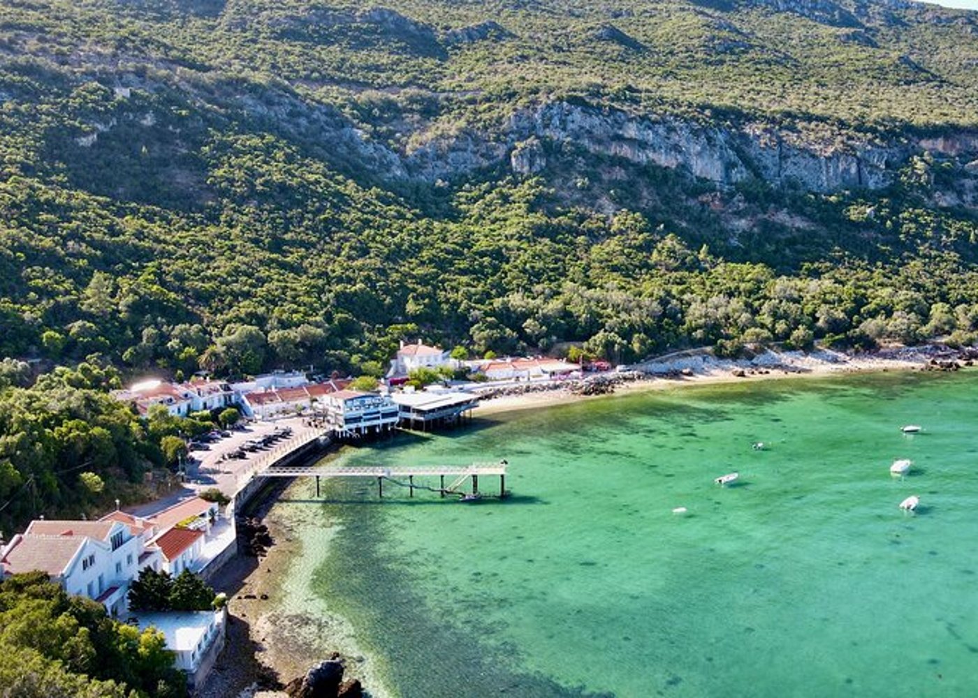 From Lisbon: Arrábida & Sesimbra Private Day Trip – Wine & Nature - 25