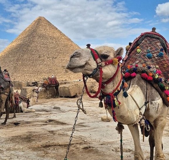 VIP Private Giza Pyramids Grand Egyptian Museum Tour with Lunch