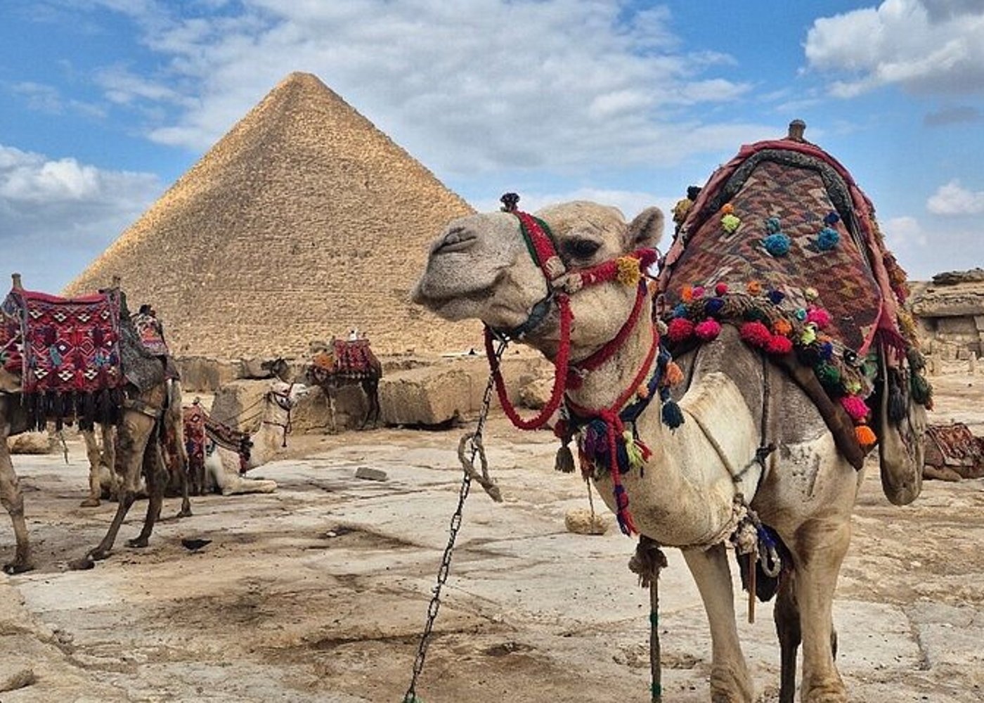 VIP-Privat-Tour zu den Pyramiden von Gizeh und dem Großen Ägyptischen Museum mit Mittagessen - 18