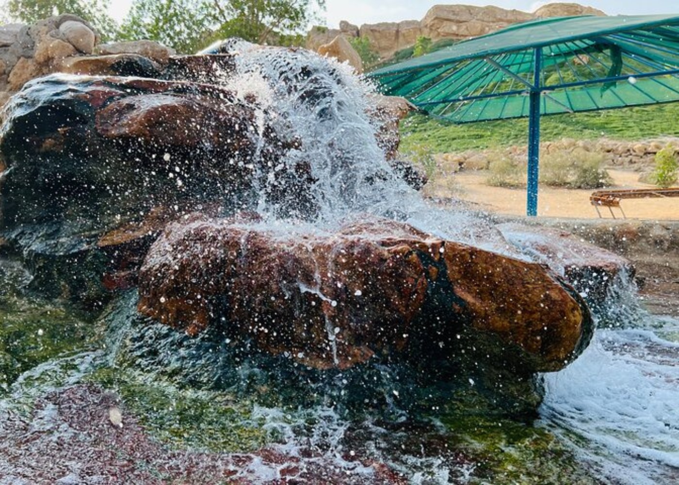 Full Day Al Ain City Tour with Lunch - 4