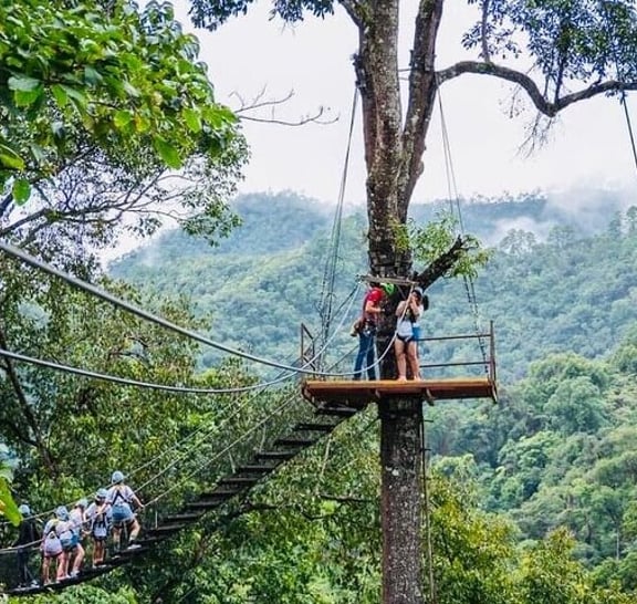 Extreme Zipline and Sticky Waterfall Private Tour