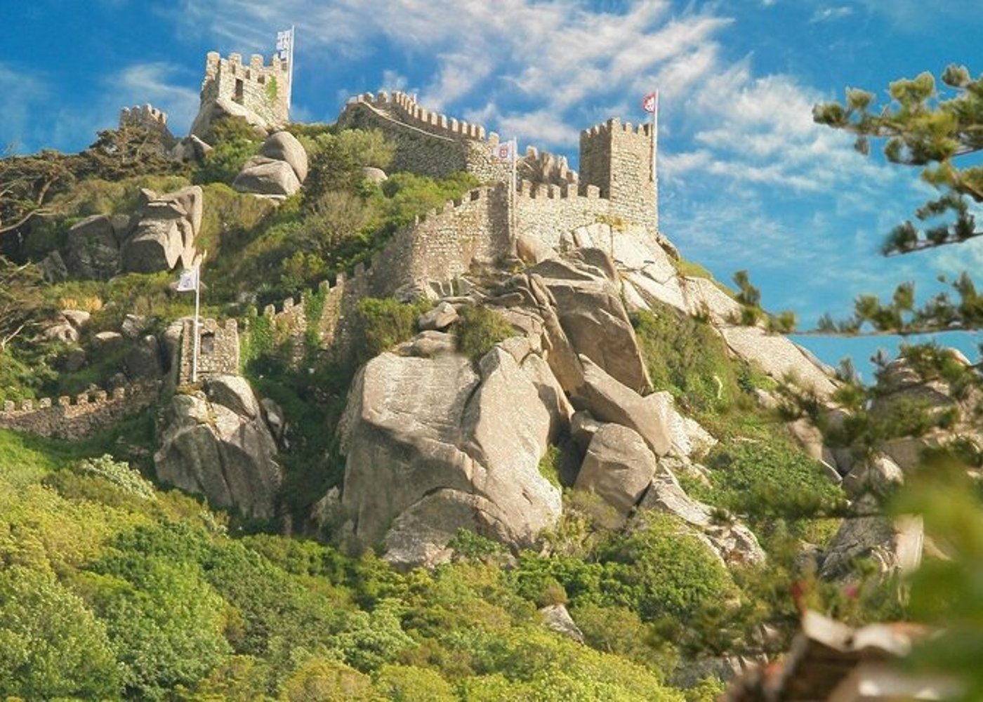 From Lisbon to Sintra: Private Half-Day Tour, including Pena Palace entrance ticket - 10