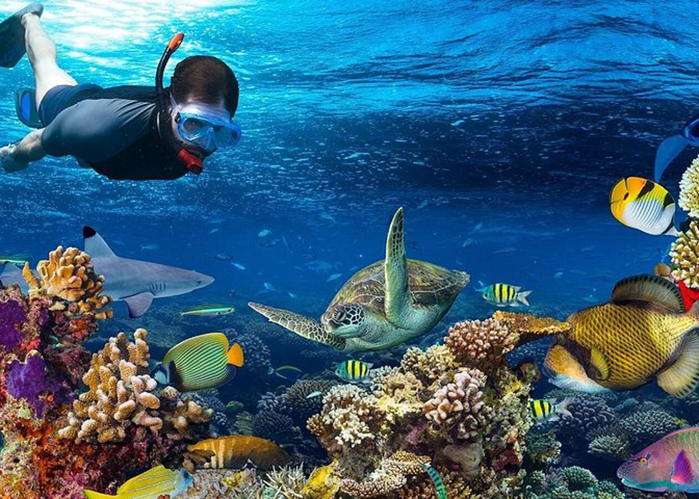 Full Day Snorkeling Trip to the Red Sea in Safaga from Luxor - 2
