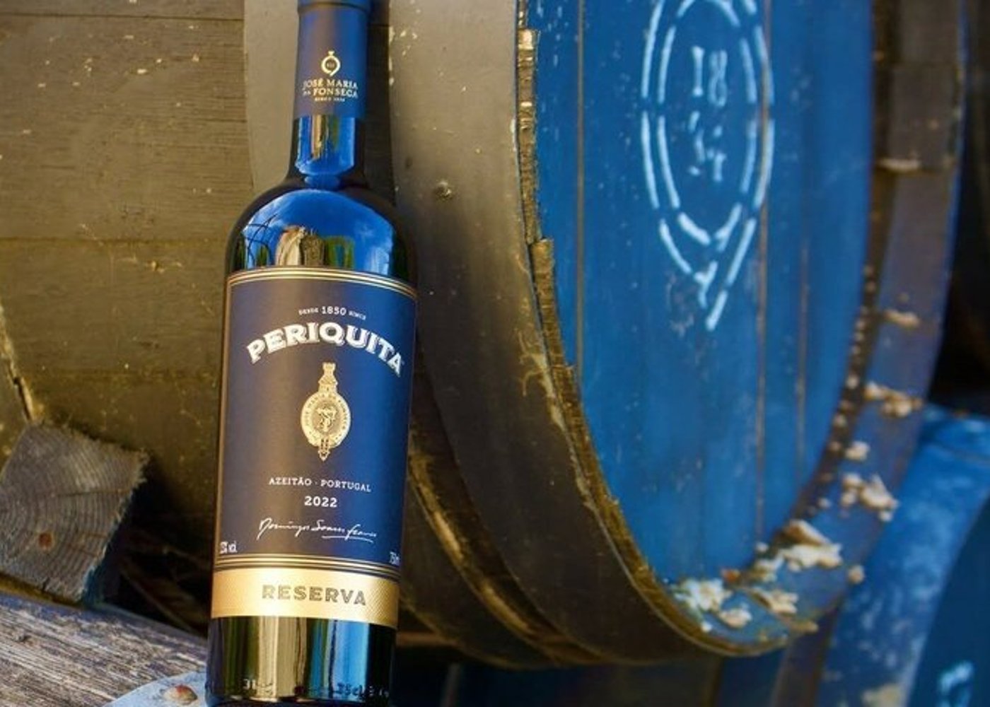 Setúbal Private Wine Experience Two Wineries and Tastings - 20