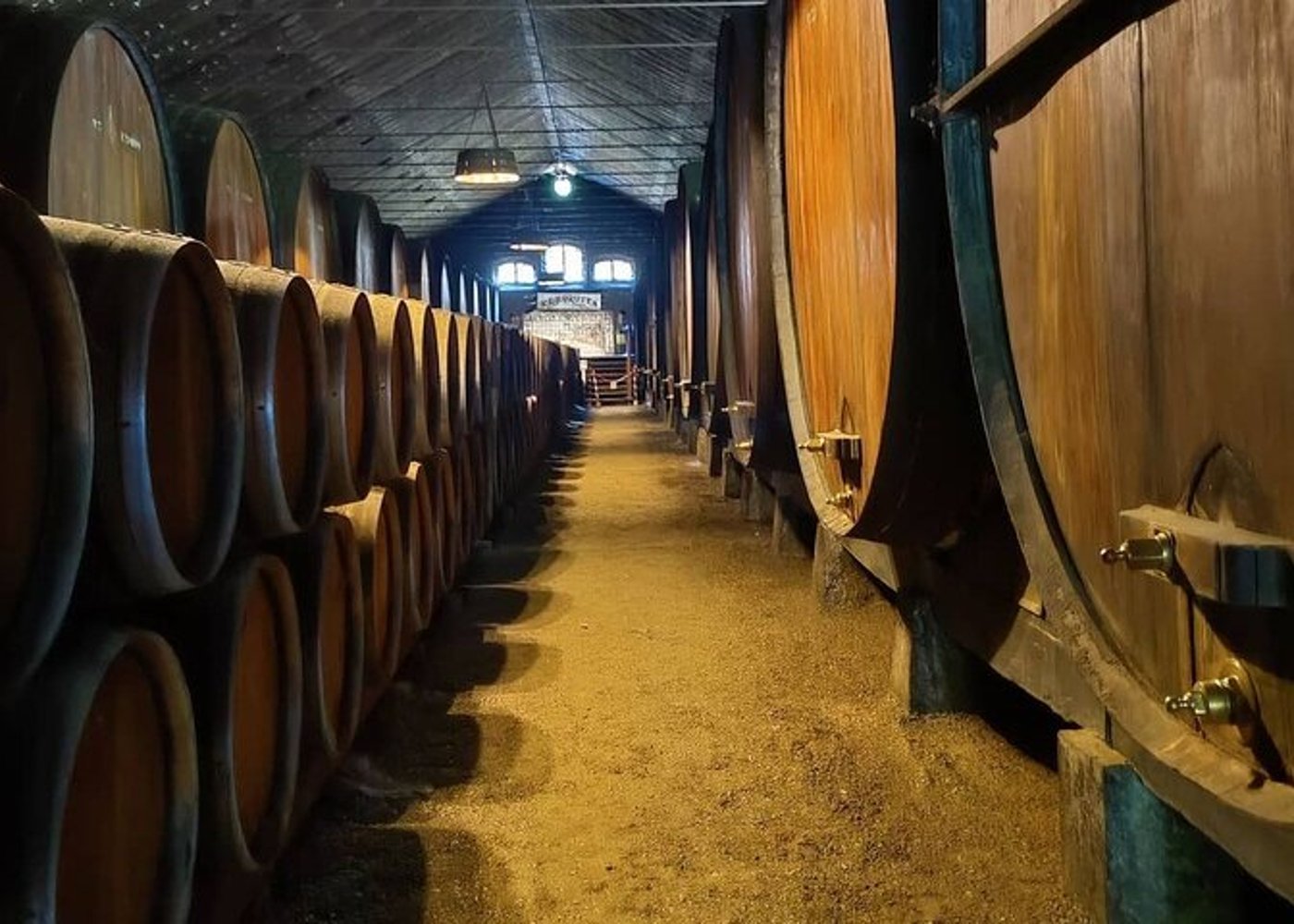 From Lisbon: Arrábida & Sesimbra Private Day Trip – Wine & Nature - 27