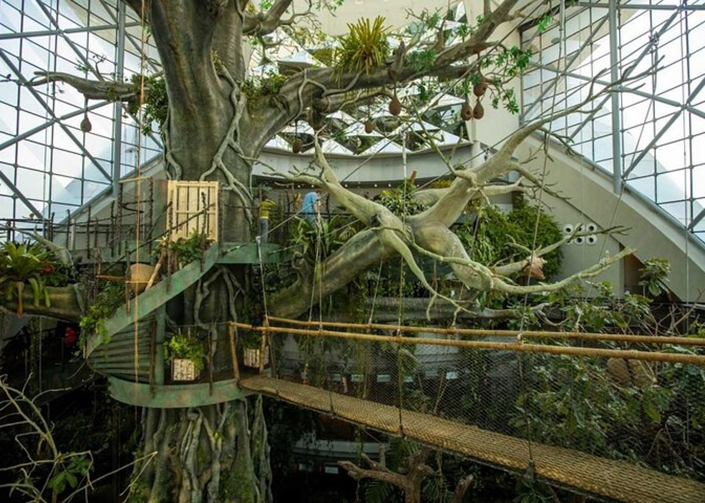 Ticket to The Green Planet in Dubai  - 5