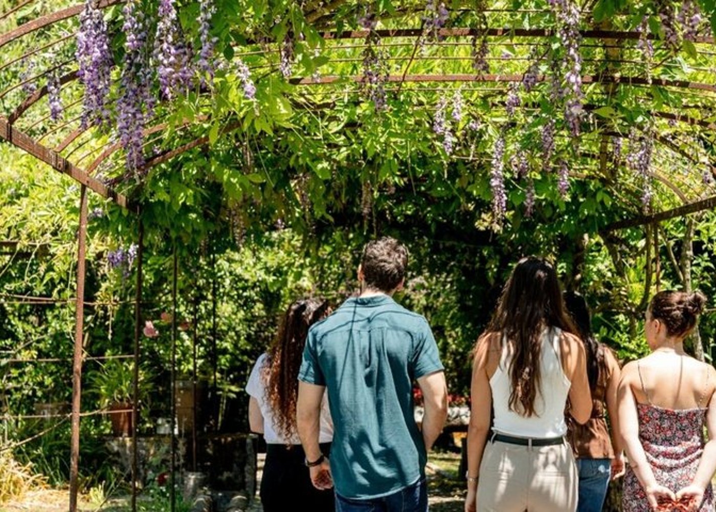 Setúbal Private Wine Experience Two Wineries and Tastings - 2