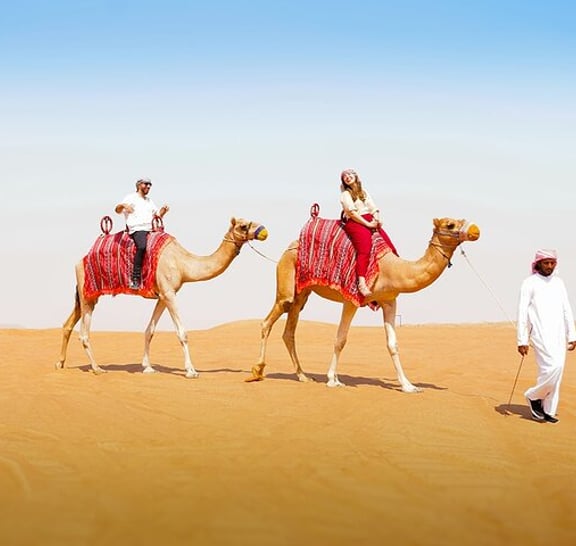 Dubai: Desert Camel Ride with Live Shows & BBQ Buffet Dinner