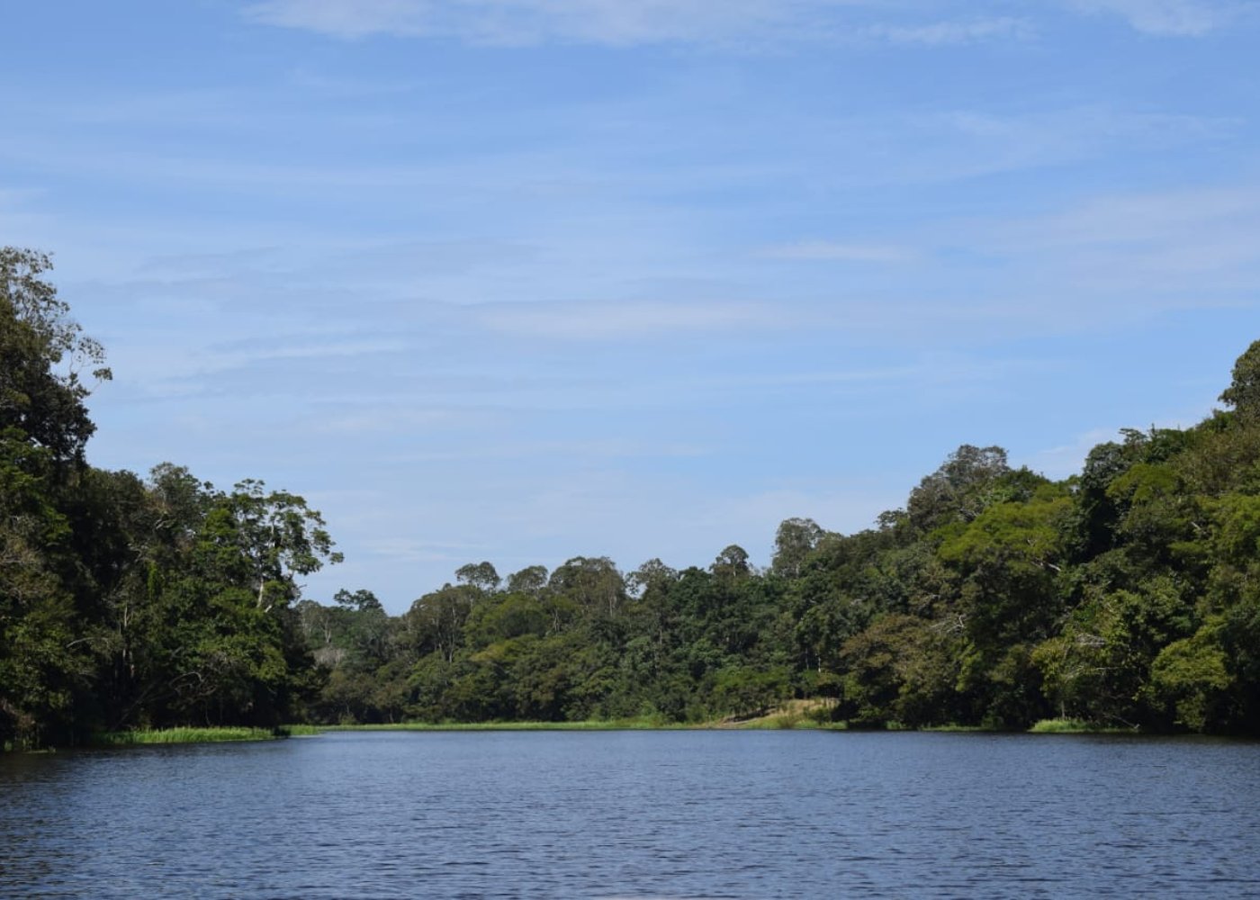 GOOD MORNING Amazon! Jungle Sleep Over Tour [2 days and 1 night tour]  - 10