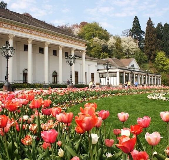 Frankfurt zum Schwarzwald, Baden-Baden, Freiburg und mit dem Auto