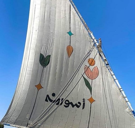Private Day Tour to Aswan Highlights and Nubian Village from Luxor by Train