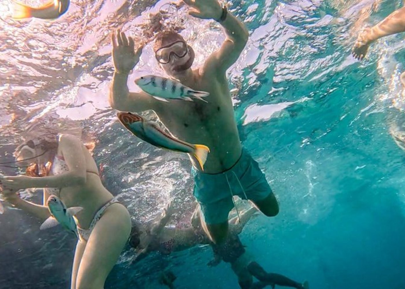 Premium VIP Dolphin House Przygoda ze snorkelingiem & Lunch - Hurghada - 26