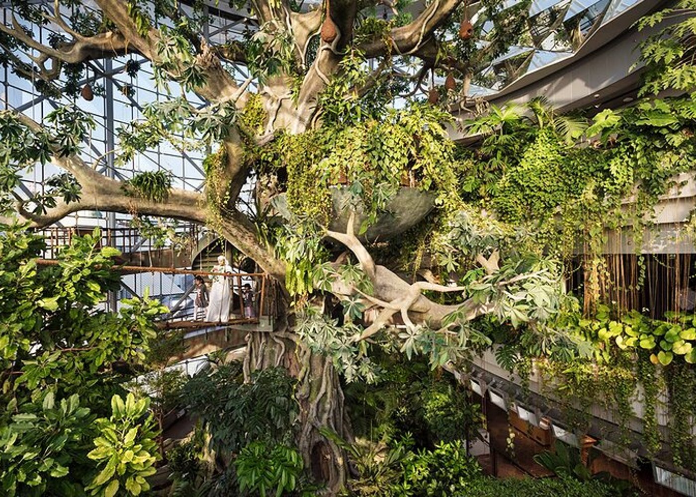 Ticket to The Green Planet in Dubai  - 3