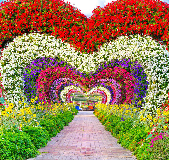Dubai City Tour & Miracle Garden tour with Transfers