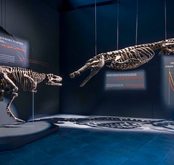Dubai City Tour & Dubai Crocodile Park tour with Transfers
