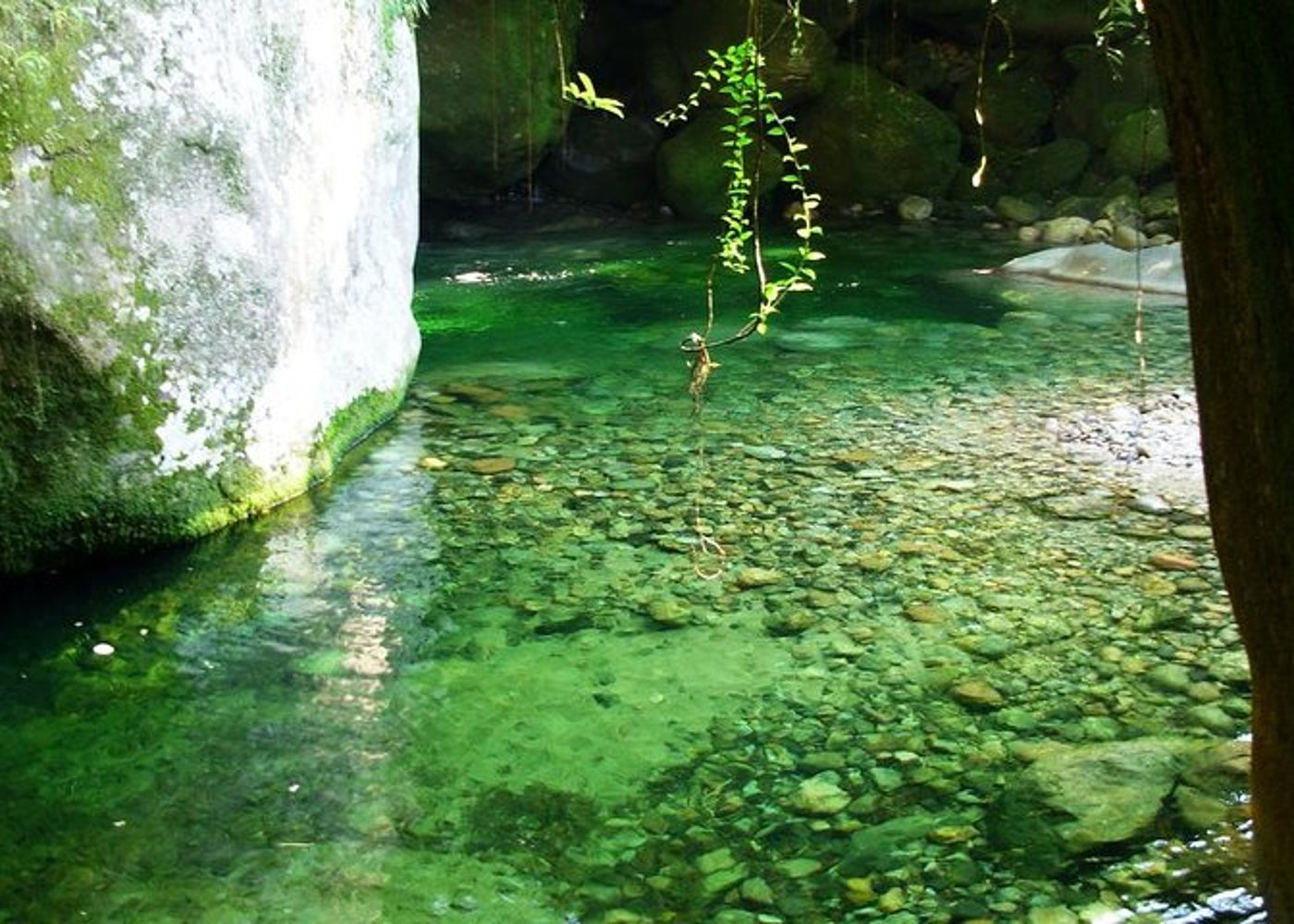 Serra dos Orgaos National Park – EcoTour - 6