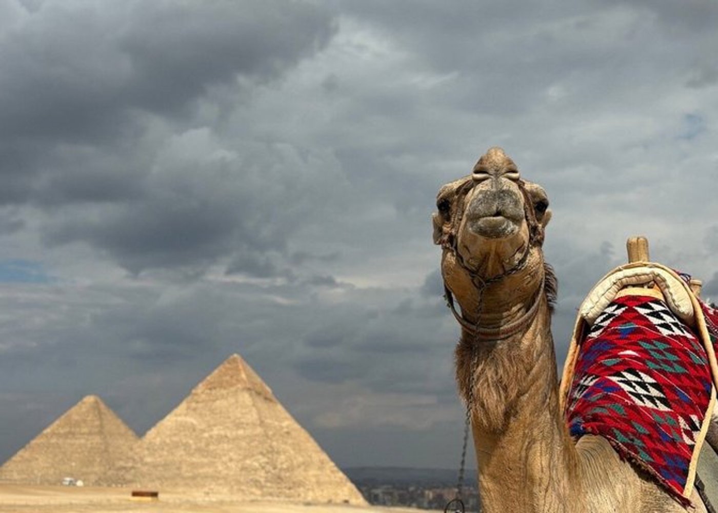 Luxus-Privat-Tour zu den Pyramiden von Gizeh, der Sphinx und dem Großen Ägyptischen Museum - 11
