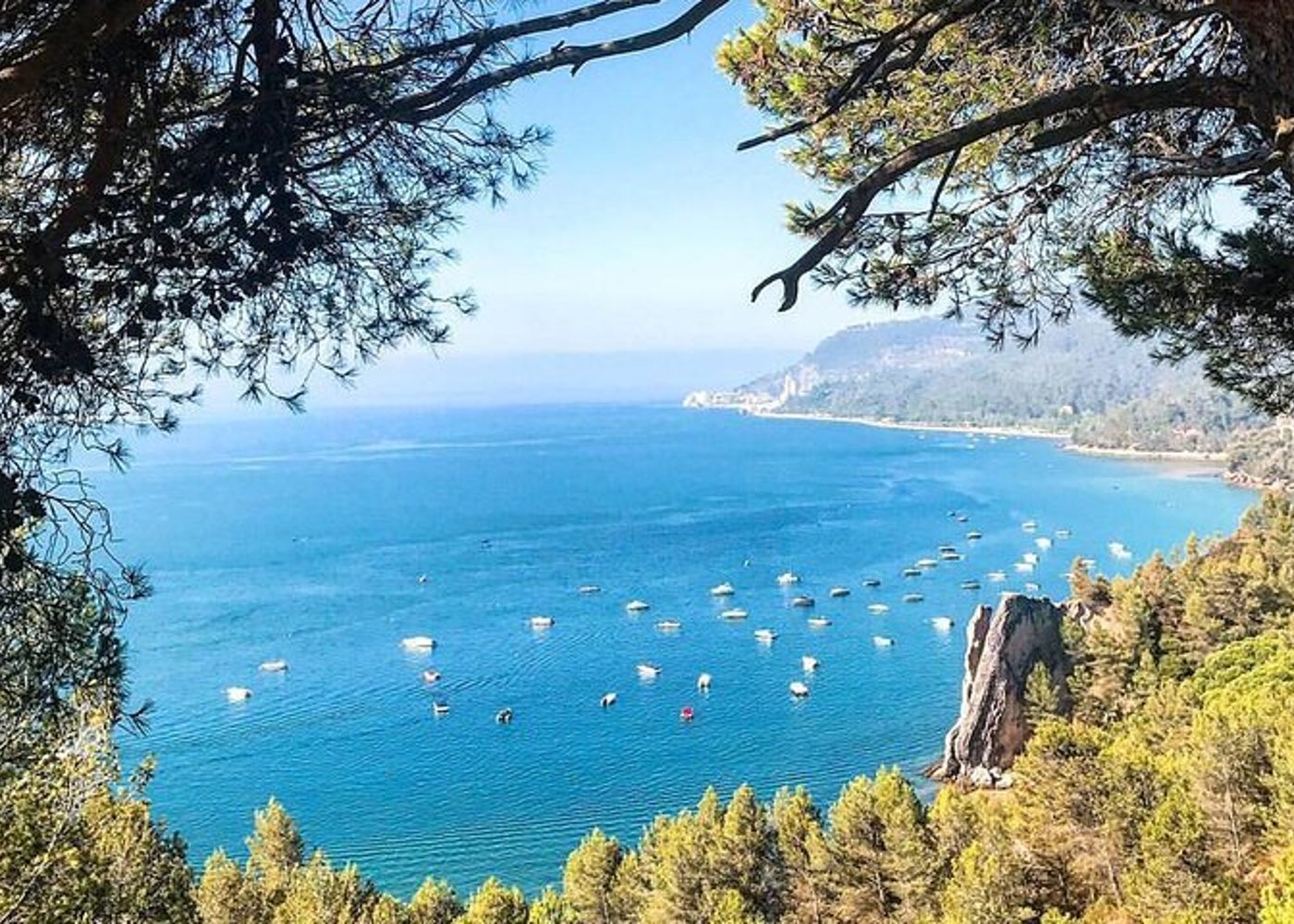 From Lisbon: Arrábida & Sesimbra Private Day Trip – Wine & Nature - 19