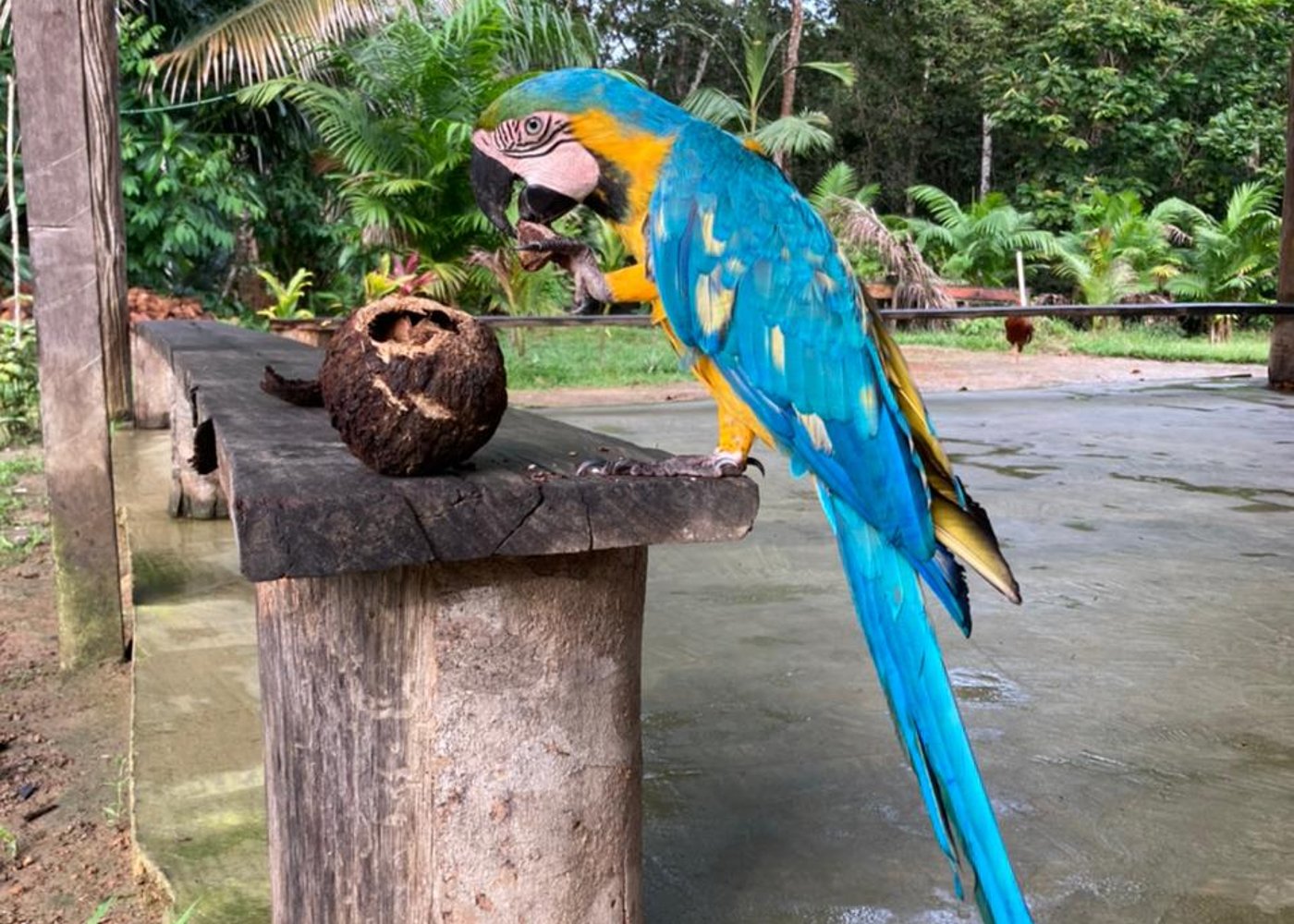 Jungle Adventure Tour [3 days and 2 nights ] - 3