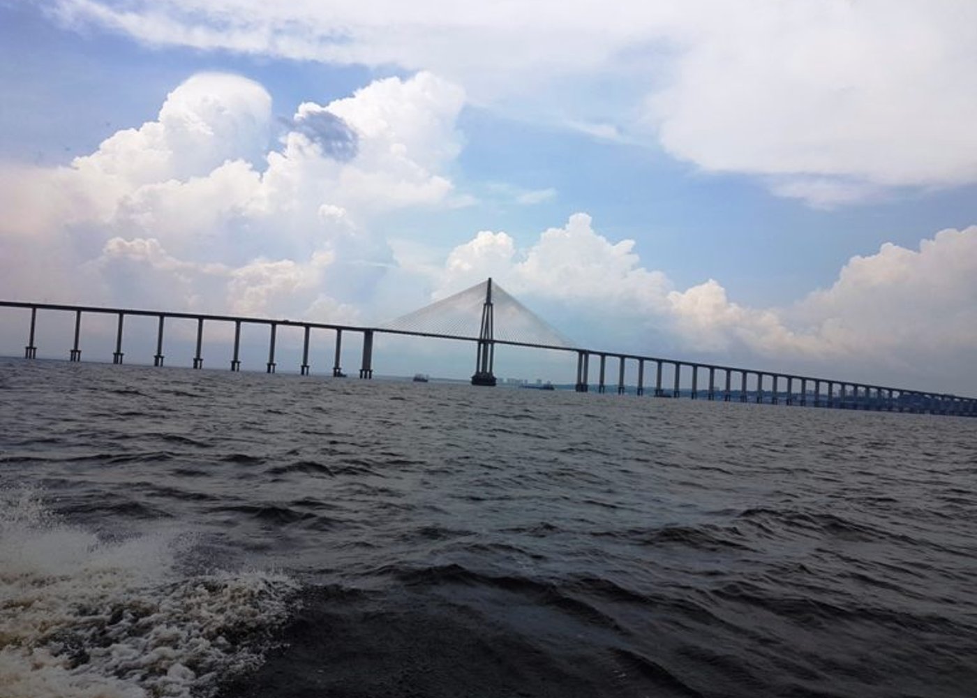 Manaus City Tours - 5