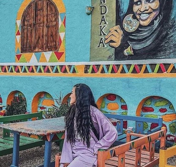 Private Day Tour to Aswan Highlights and Nubian Village from Luxor by Train
