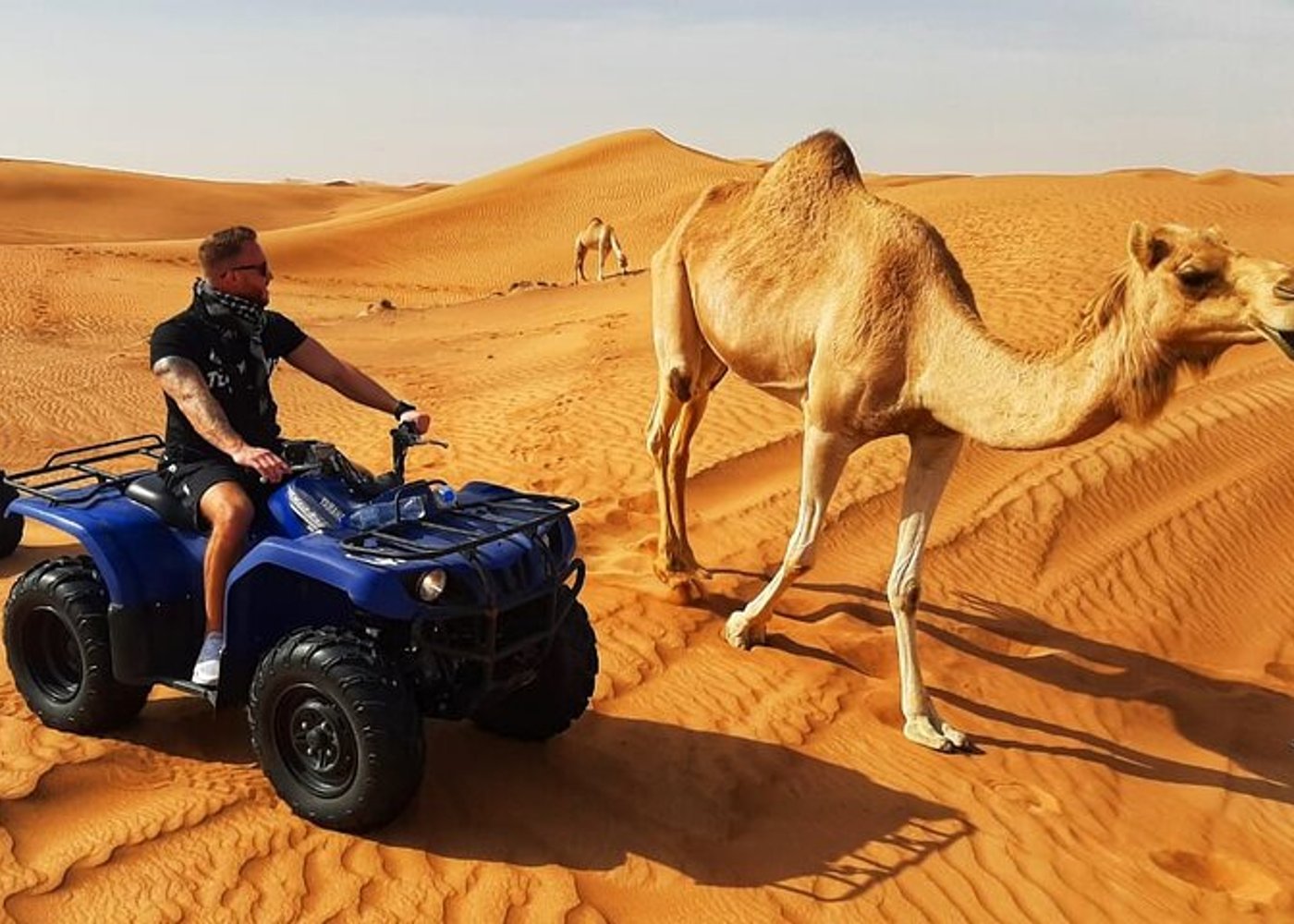 Dubai: Quad Bike Safari, Camels, & Camp with BBQ Dinner - 9