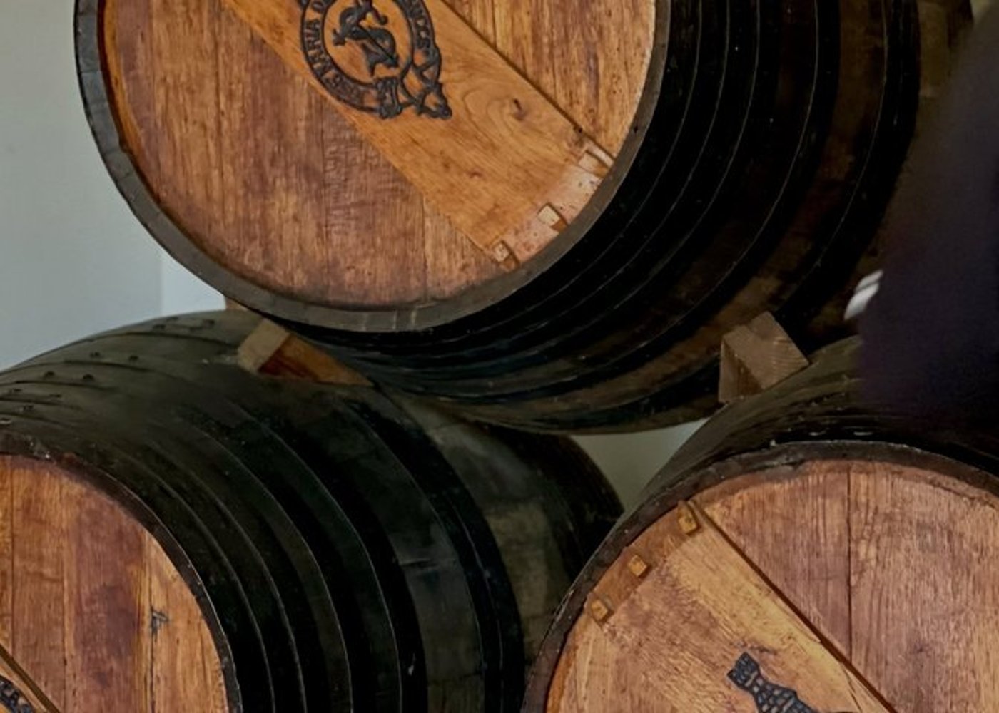 Setúbal Private Wine Experience Two Wineries and Tastings - 13