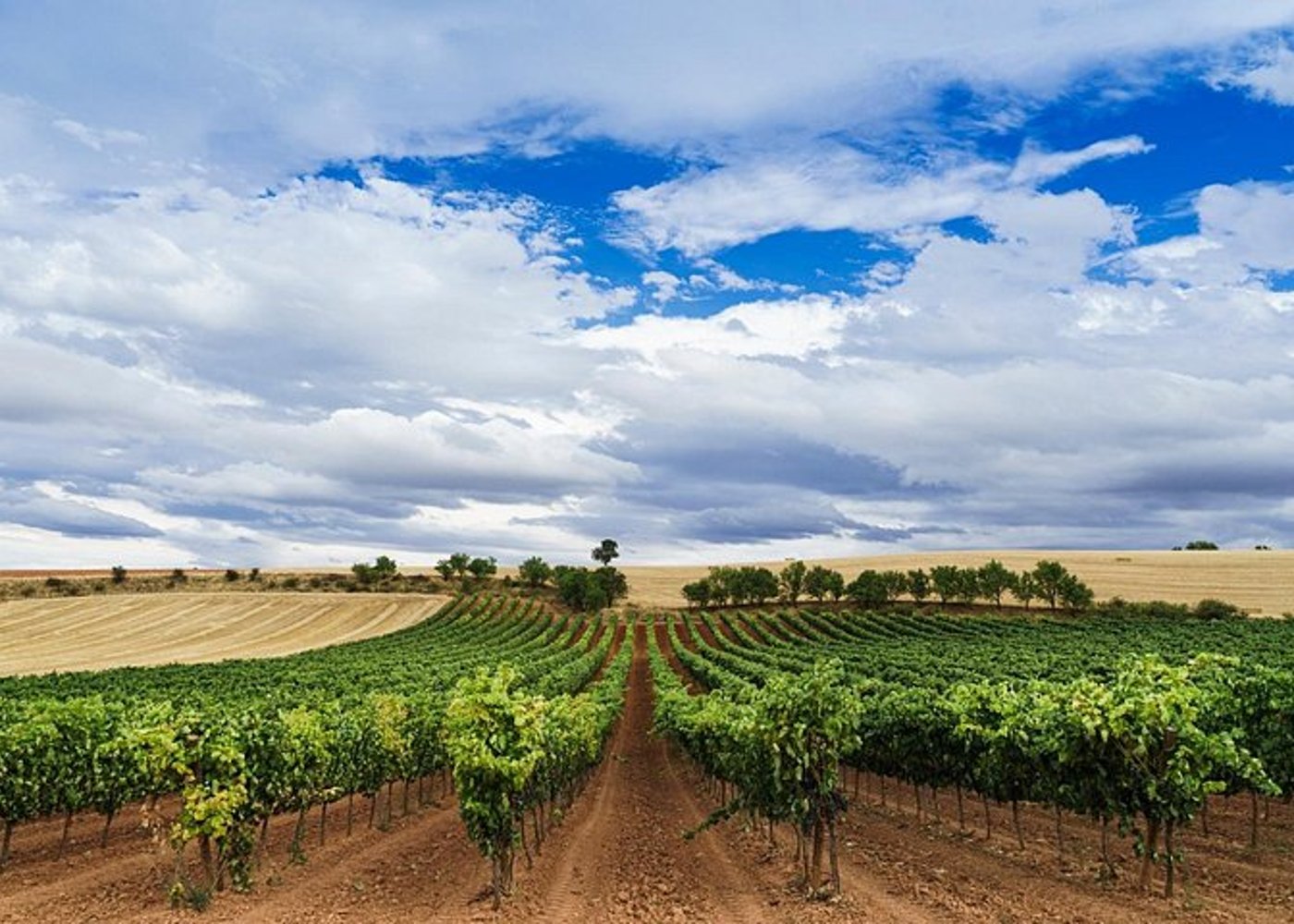 Madrid Weinverkostung Private Tour mit Weinexperten - 5