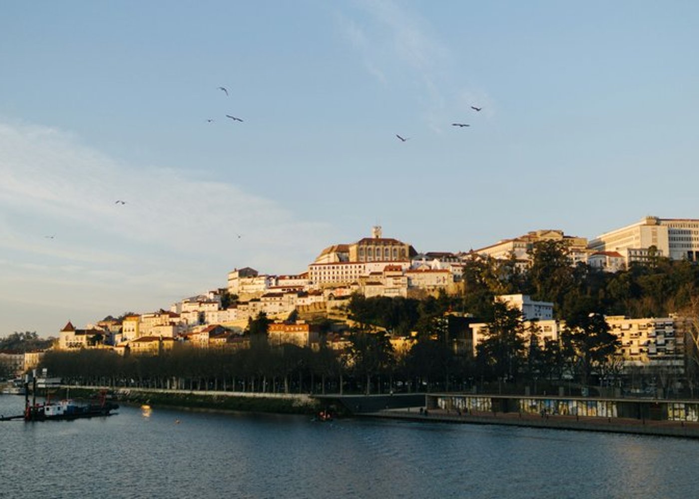 Prywatny transfer z Porto do Lizbony z trzema przystankami. - 6