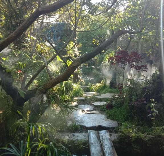 Combo Tour in Elephant Sanctuary, Sticky Waterfall, Angle Land
