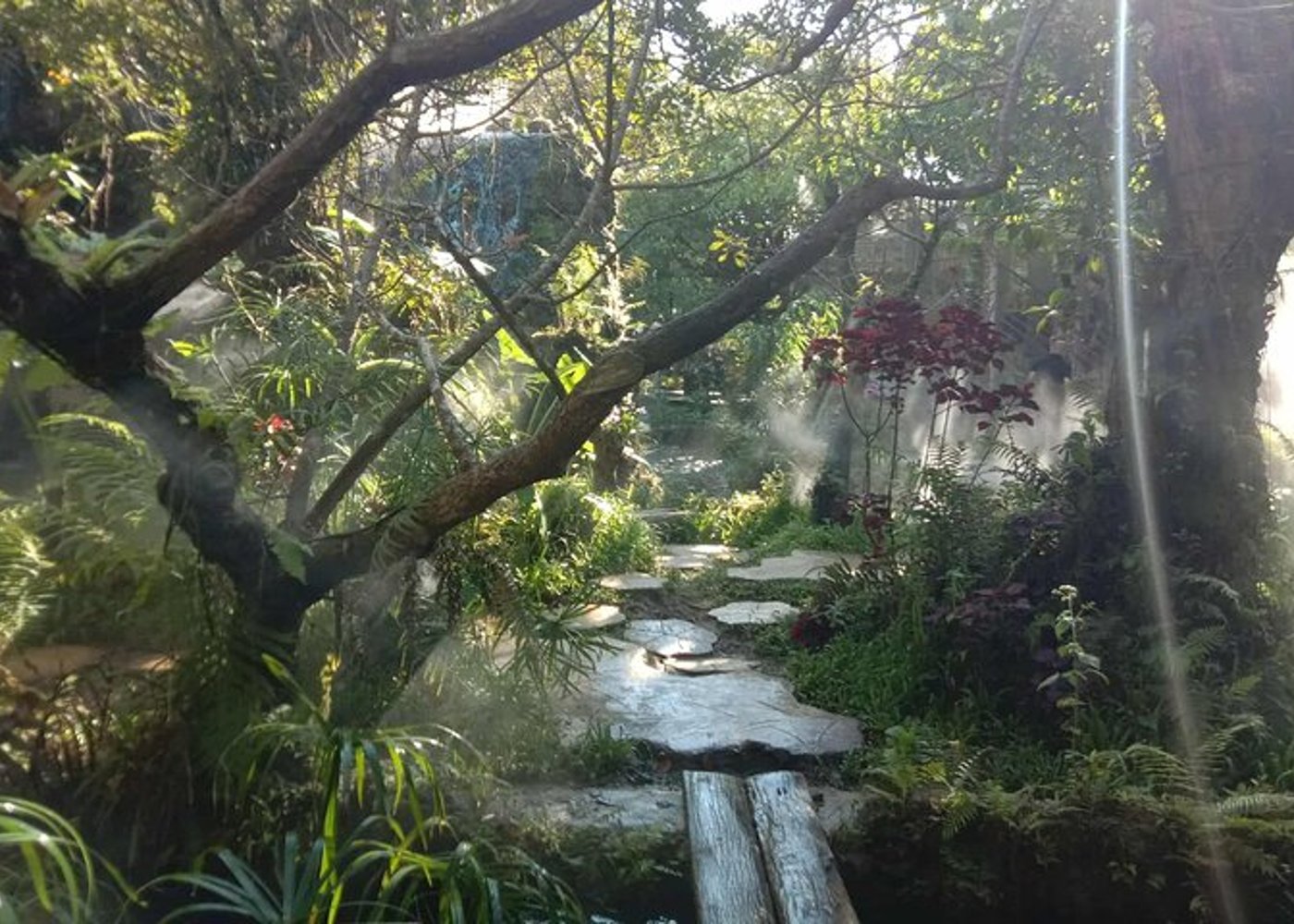 Kombitour in Elefantenschutzgebiet, Klebriger Wasserfall, Angle Land - 6