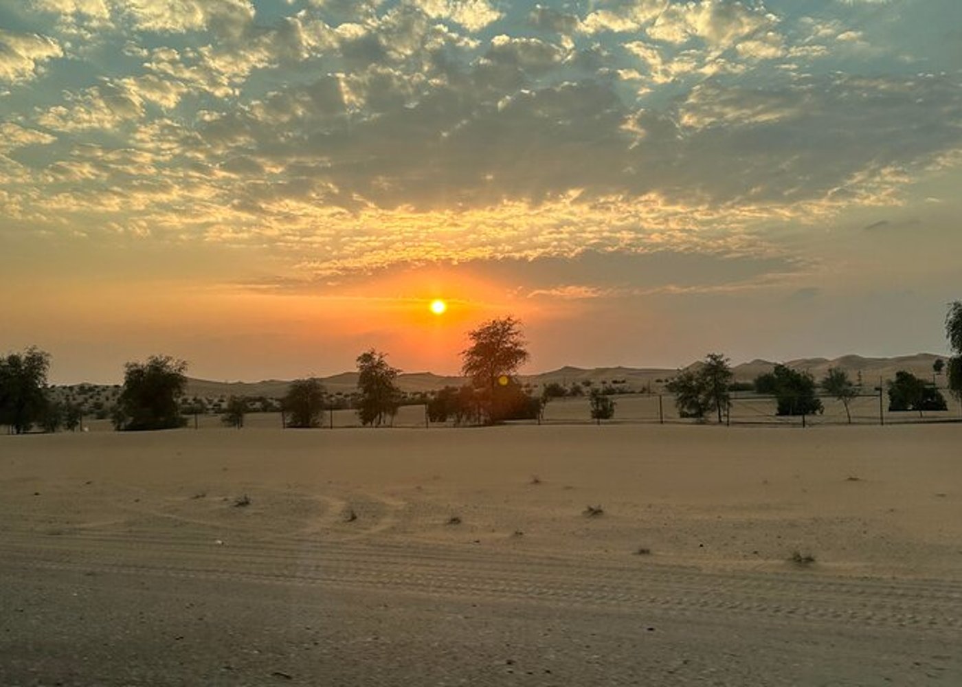 Liwa Full Day Desert Safari Tour with Thrills & Tranquility - 10