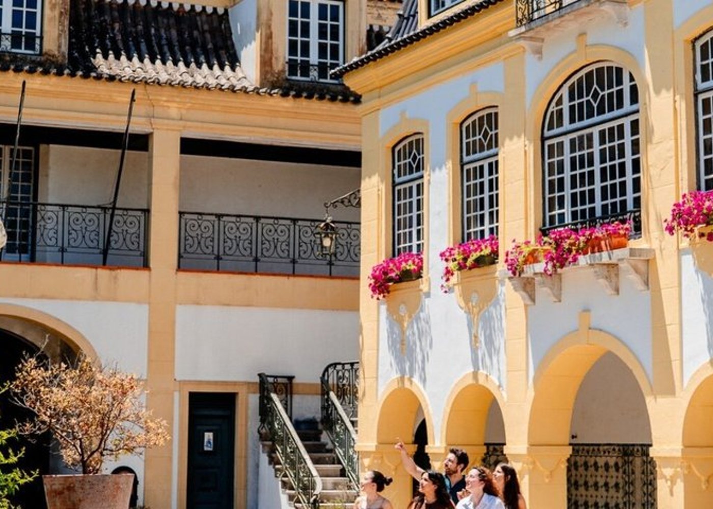 Setúbal Private Wine Experience Two Wineries and Tastings - 31